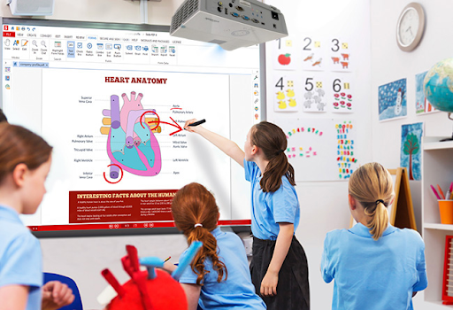 Màn Hình Tương Tác Giáo Dục VDS – Giải Pháp Học Tập Trực Quan Cho Trường Học Và Bảo Tàng